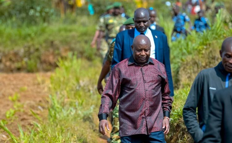  A New Era for Rare Earth Exploitation: rare earth minerals