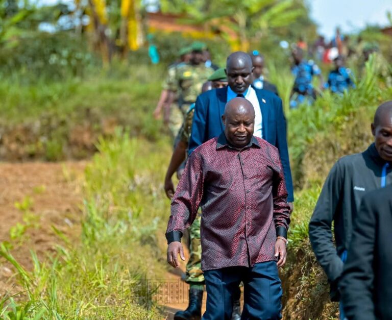 rares earths minerals