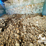 Bakagem mining burundi